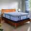 Sealy Posturepedic Pro Dupont Soft Pillowtop