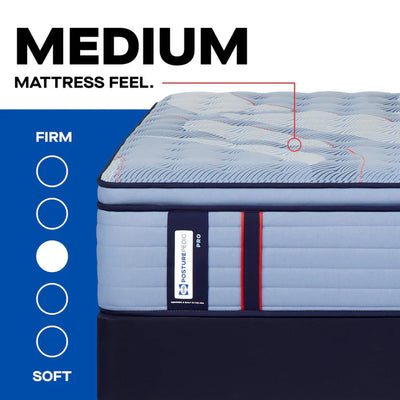 Sealy Posturepedic Pro Dupont Medium Pillowtop